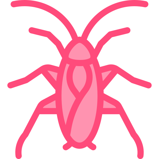 Scarafaggi