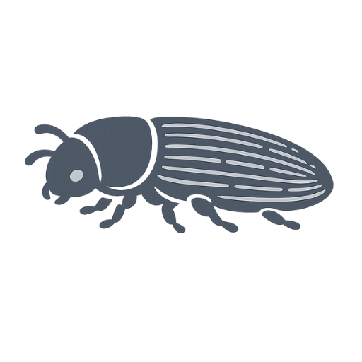 Tarli del legno