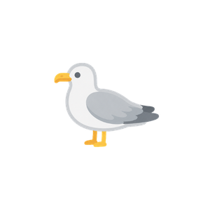 Gabbiani