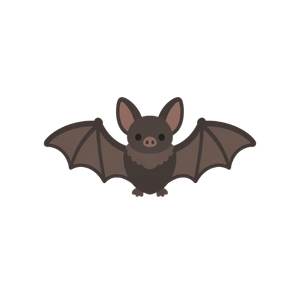 Pipistrelli